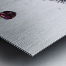 Cherries in a Vodka Martini Metal print