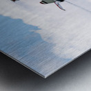 USAF Thunderbirds - Knife  edge Pass Metal print