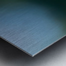 Hummingbirds Metal print