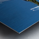 P-51D Mustang - Swamp Fox Metal print