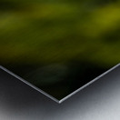 Sparrows on a Roof Metal print