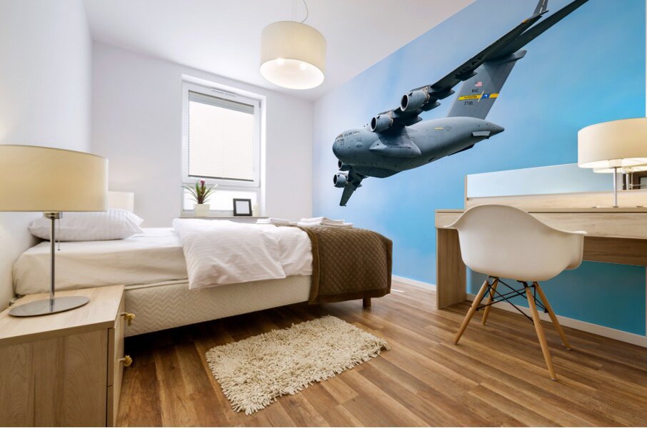 C-17 Globe Master III Mural print