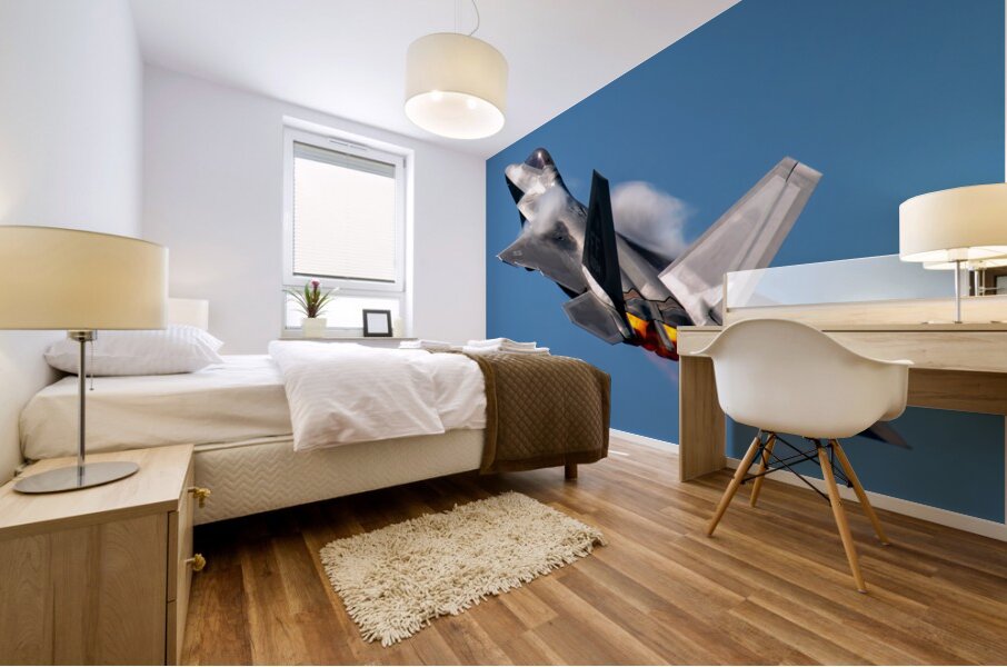 Lockheed-Martin USAF F-22 Raptor Mural print