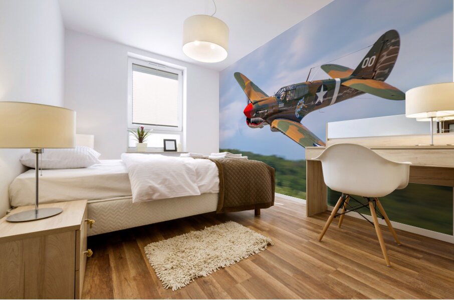 Curtiss P-40 Warhawk Mural print