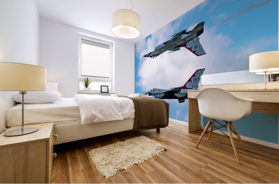 USAF Thunderbirds - Calypso Pass Mural print