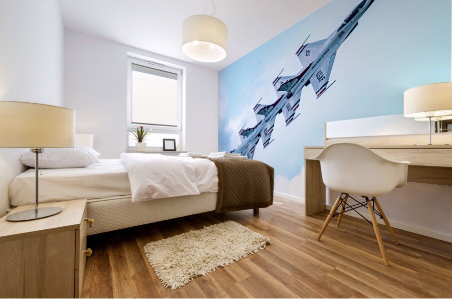 USAF Thunderbirds - Echelon in Review Mural print