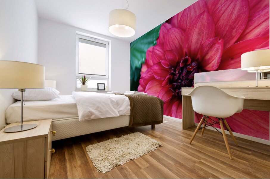Dark Pink Dahlia Mural print