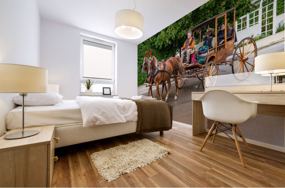 Horse and Carriage on Mackinac Island Mural print