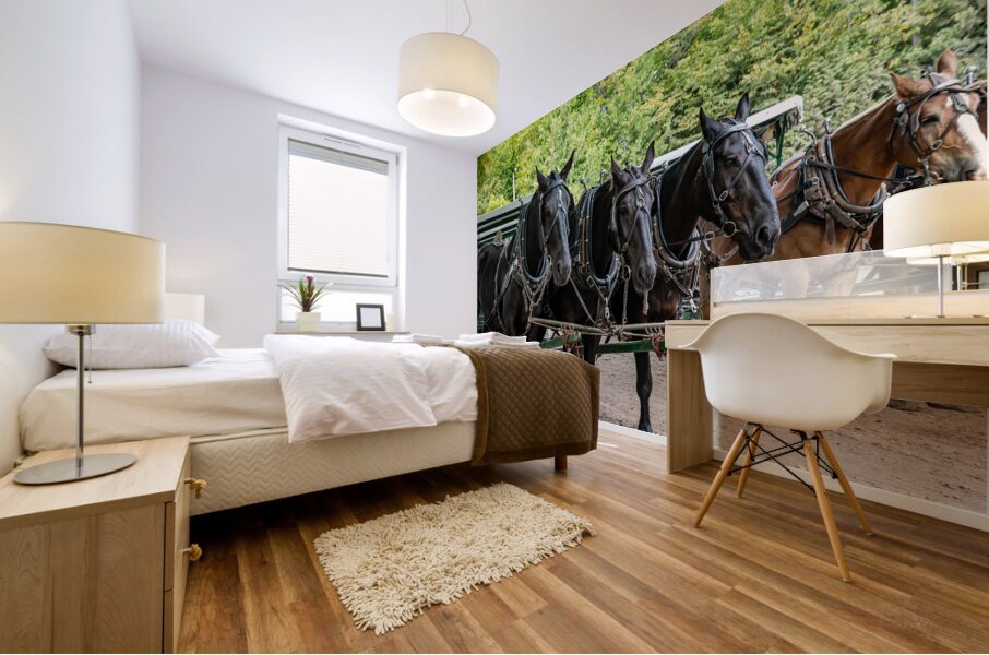 Teams of Horses Mural print
