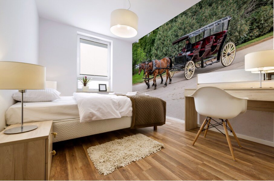 A Pair of Horses pulling a Carriage Mural print