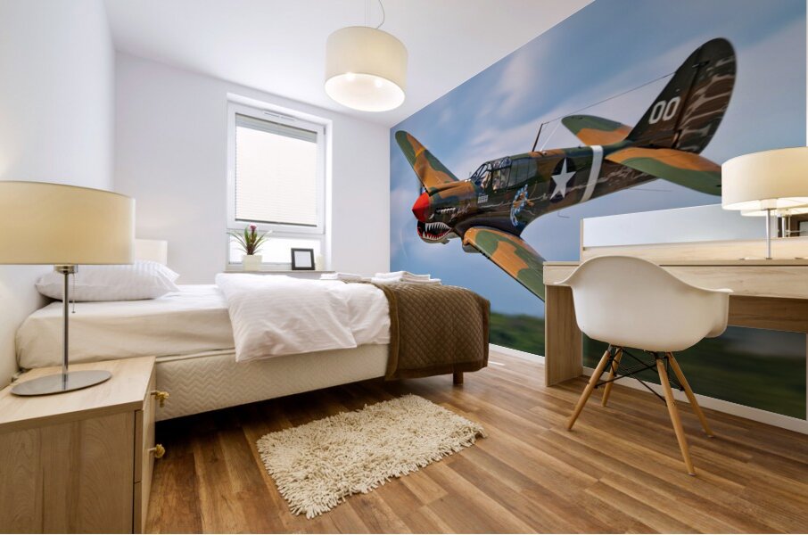 Curtiss P-40 Warhawk Low Altitude High Speed Pass Mural print