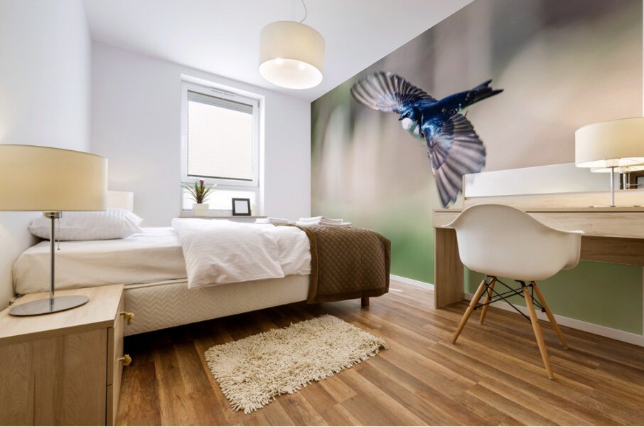 A Tree Swallow in Flight Mural print