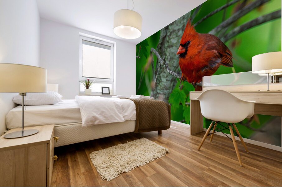 Northern Cardinal  Mural print
