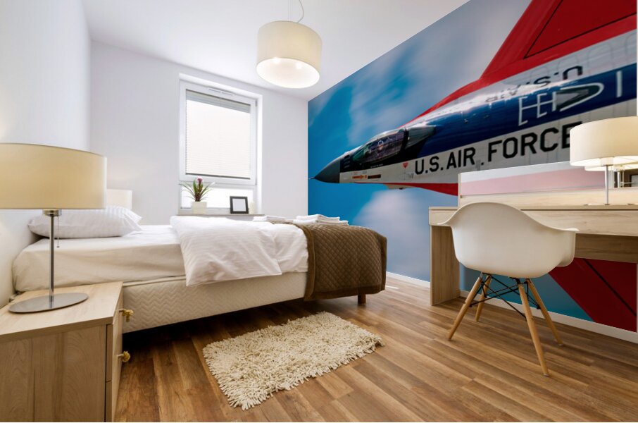 United States Air Force F-16  Viper Mural print