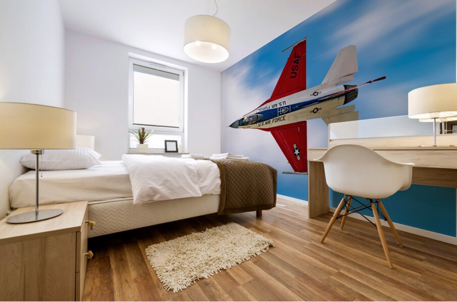 United States Air Force F-16 Viper Mural print