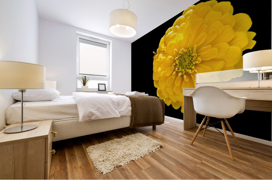 Yellow Zinnia and a Hoverfly Mural print