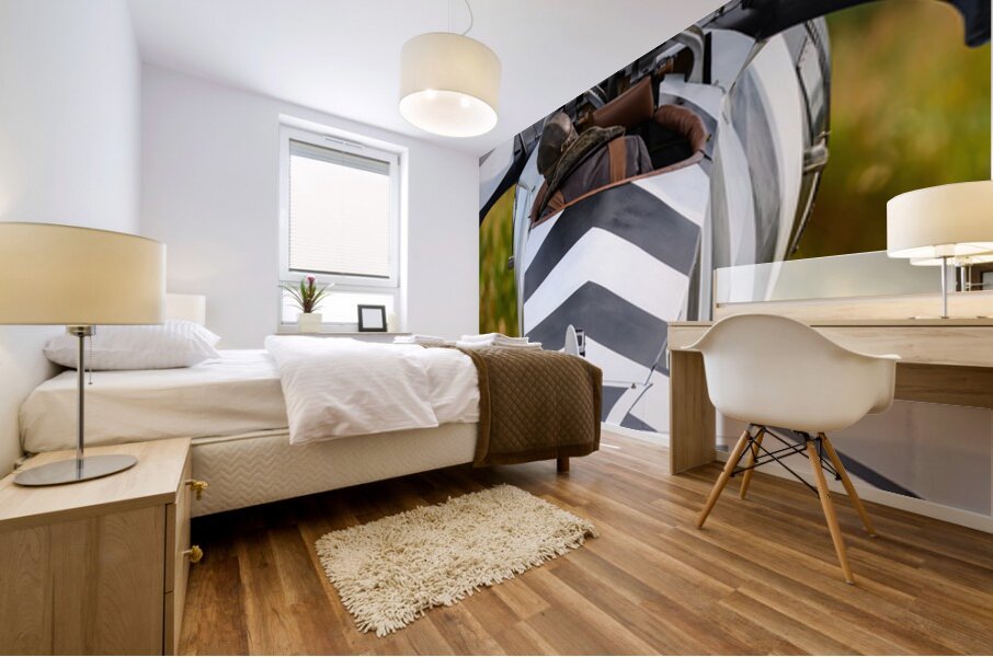 German Fokker Dr.1 Triplane Mural print