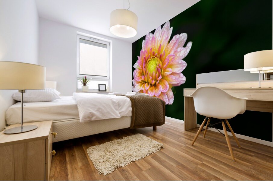 Dahlia and Raindrops Mural print