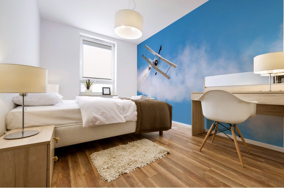 Grumman C-164 Ag Cat  and a Daring WingWalker.  Mural print