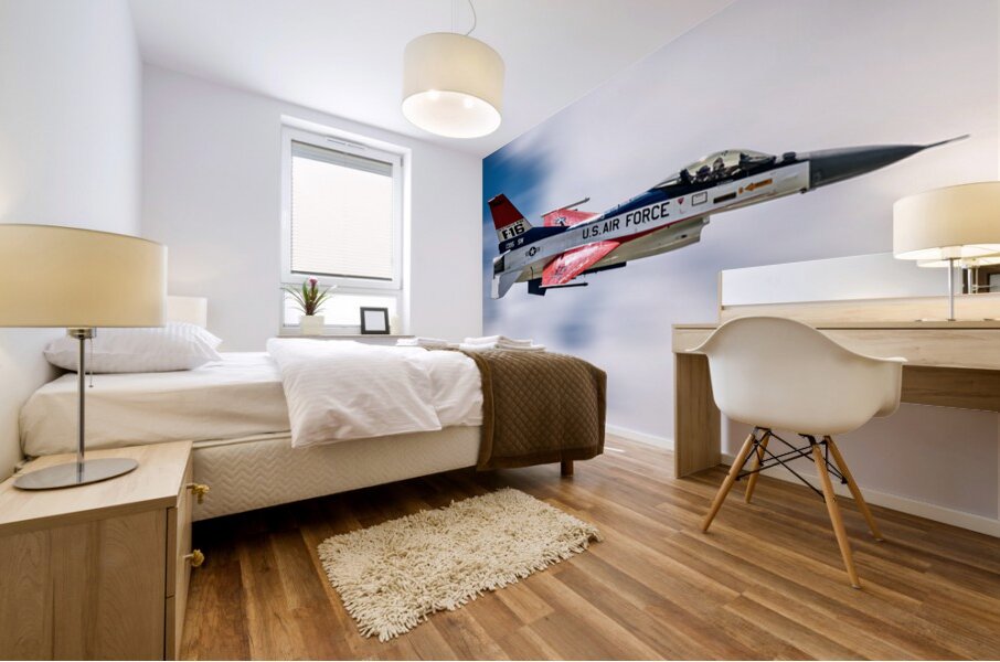 F-16 Viper Demo Team Mural print