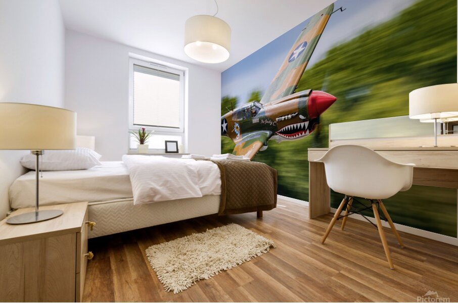 Curtiss P-40 WarHawk High Speed Pass Mural print