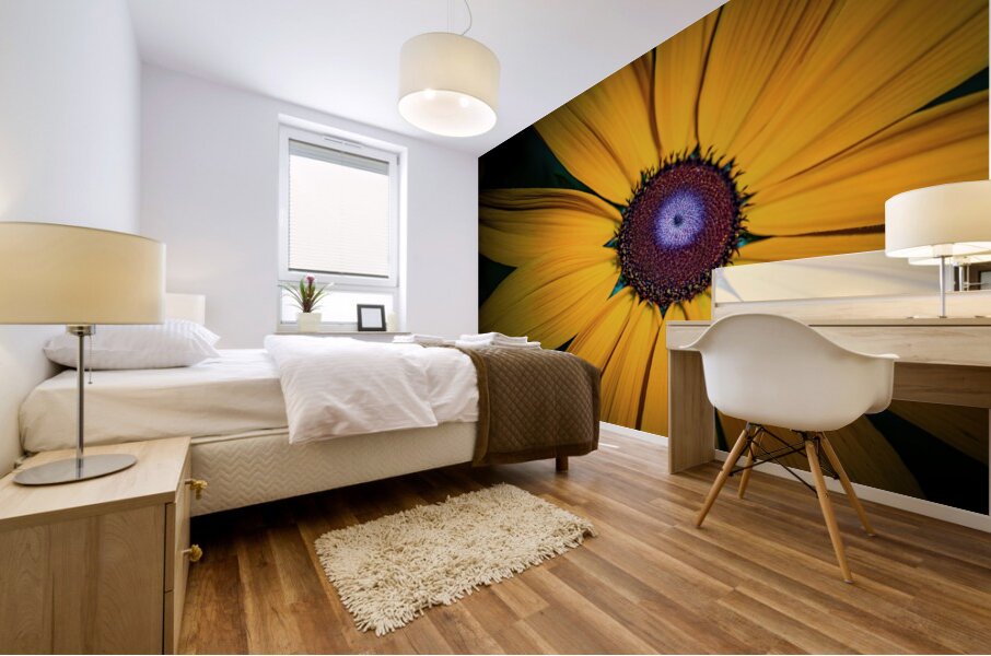 Yellow Daisy Mural print