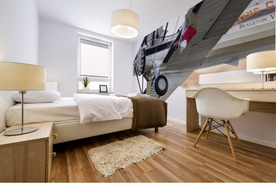 Flying Circus Mural print