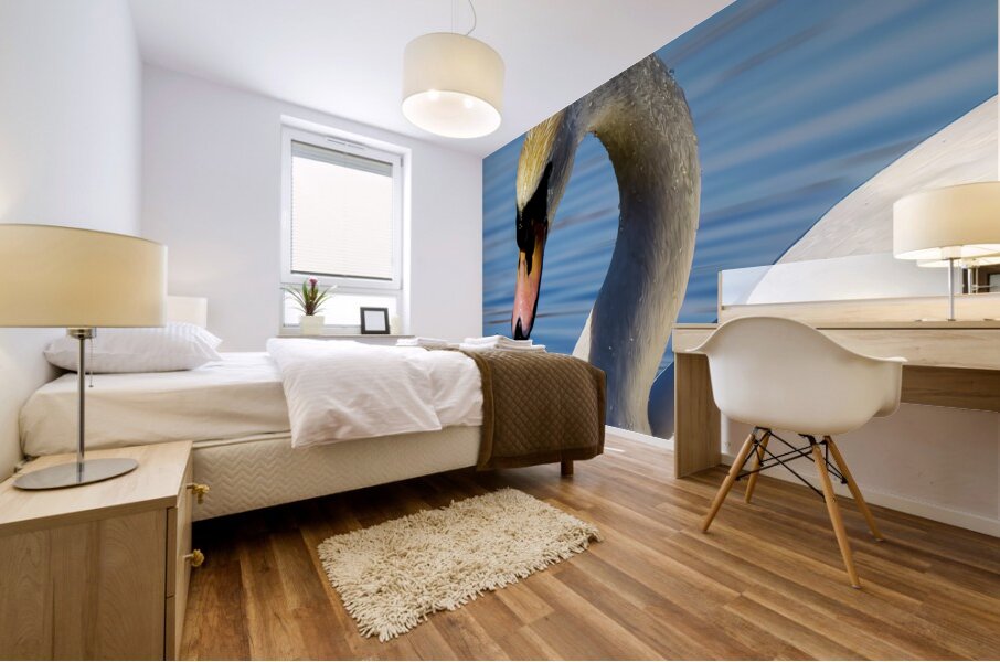 Swan on a Lake Mural print