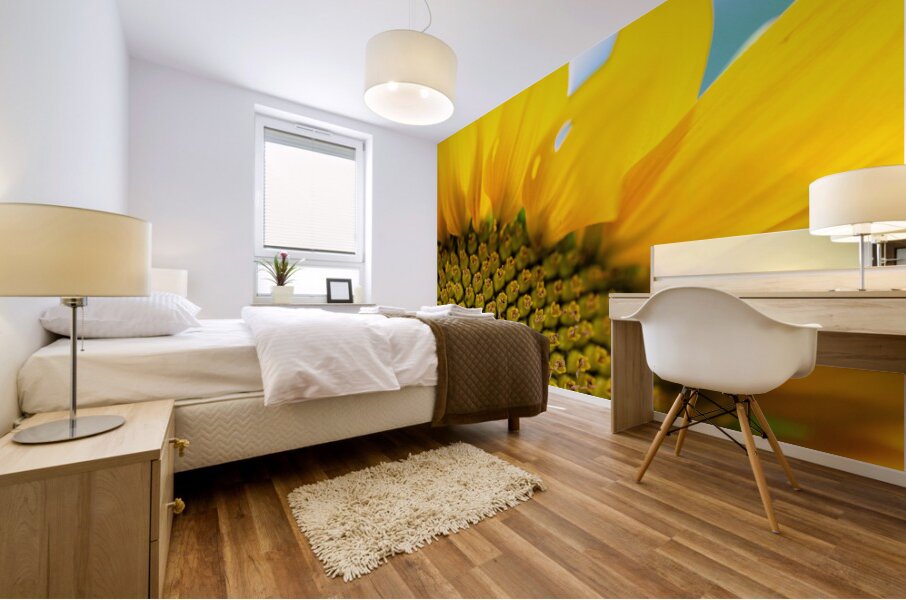 SunFlower Close Up Mural print