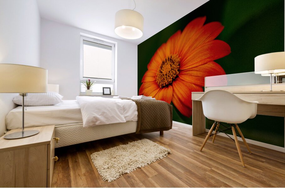 Orange Sunflower  Mural print