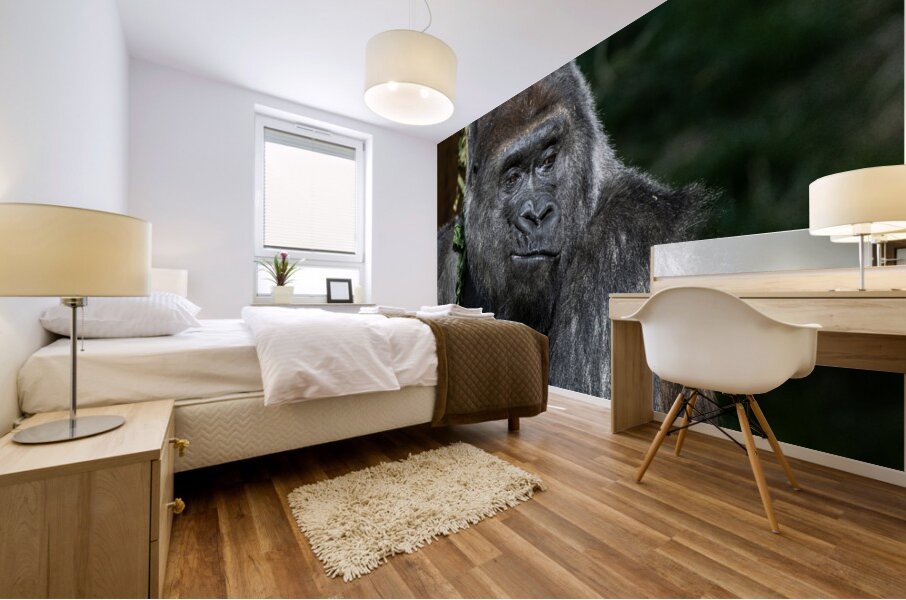 Gorilla Deep in Thought Mural print