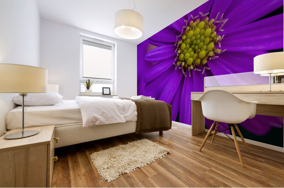 Purple Aster Mural print