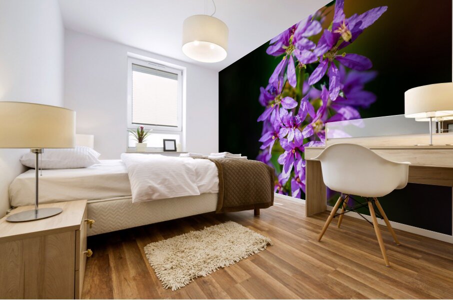 Purple Loosestrife Mural print