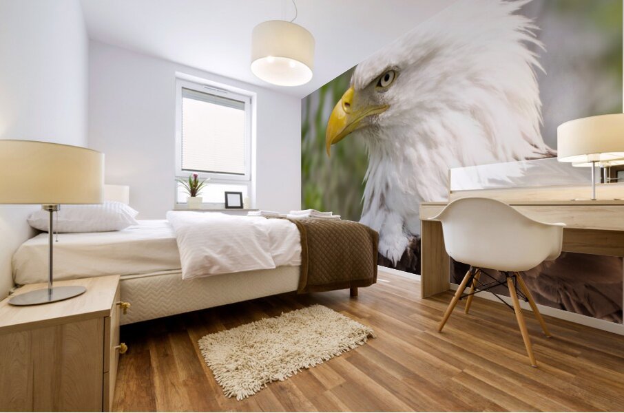 North American Bald Eagle Mural print