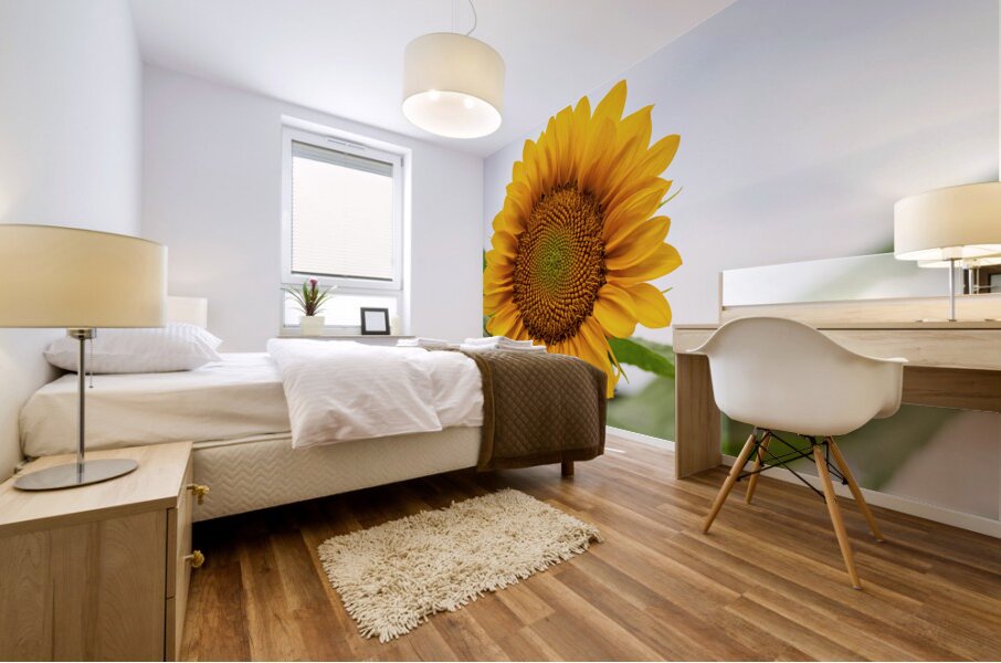 Sun Flower Mural print