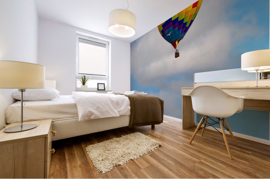 Hot Air Balloon Floating Over the Countryside Mural print