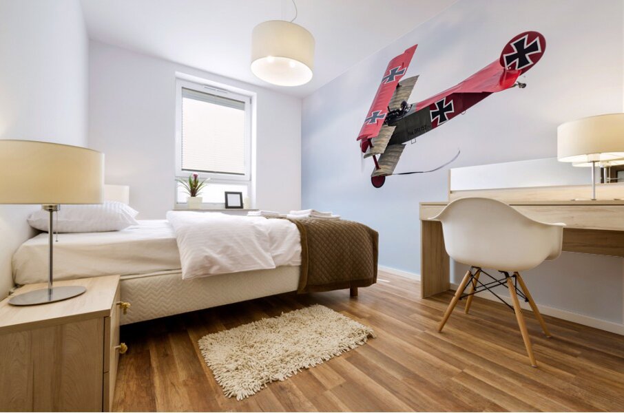 Fokker Dr.1 Triplane Mural print