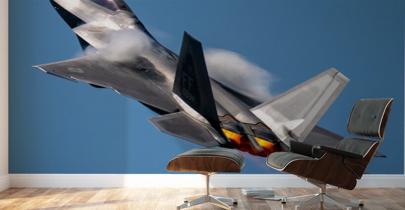 Lockheed-Martin USAF F-22 Raptor Wall Murals