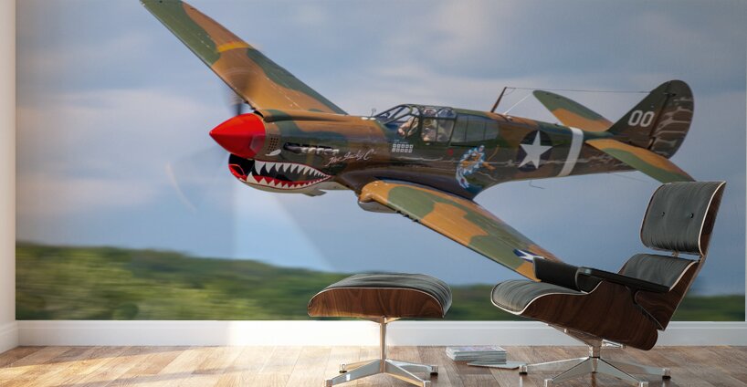 Curtiss P-40 Warhawk Wall Murals