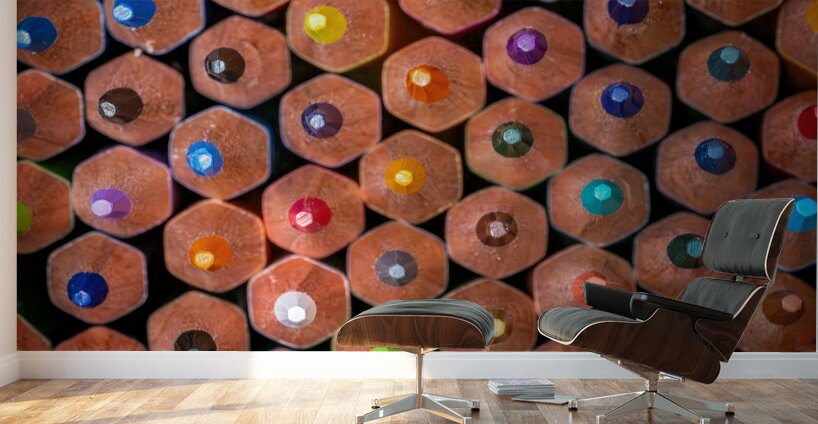 Color Pencils Wall Murals