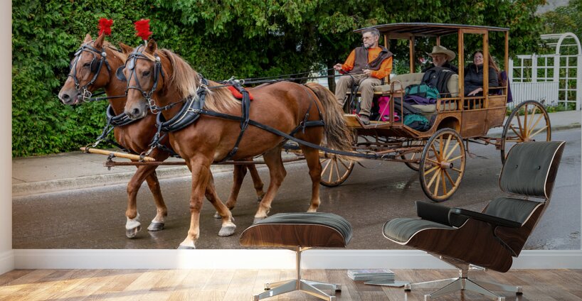 Horse and Carriage on Mackinac Island Wall Murals