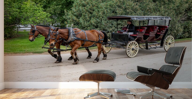 A Pair of Horses pulling a Carriage Wall Murals