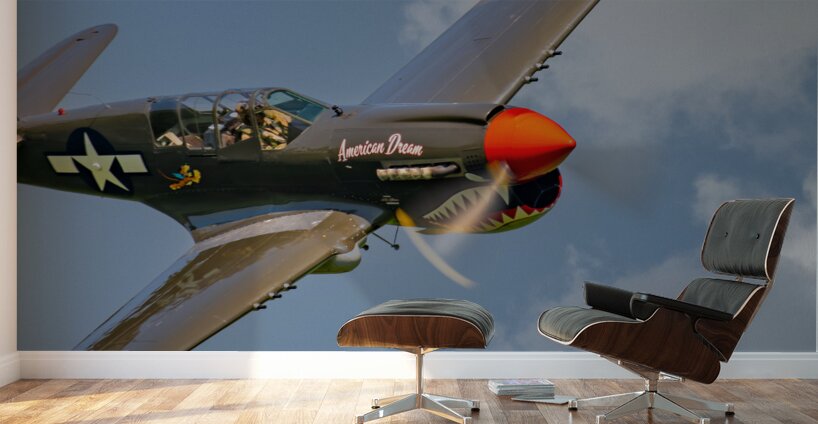 Curtiss P-40 Warhawk - American Dream Wall Murals