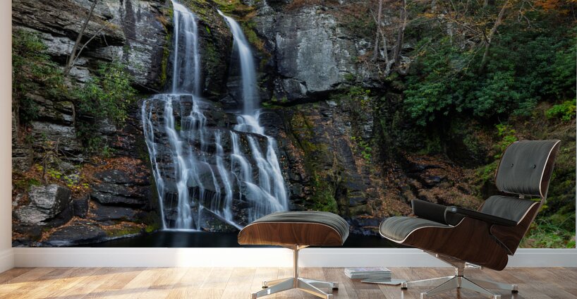 Bushkill Falls Wall Murals
