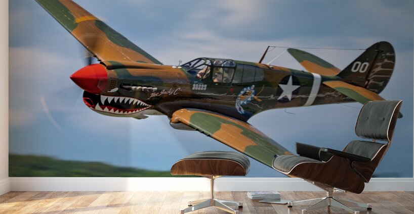 Curtiss P-40 Warhawk Low Altitude High Speed Pass Wall Murals