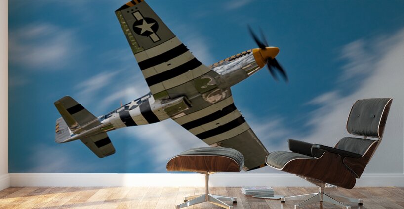 North American Aviation P-51 Mustang Bald Eagle Wall Murals