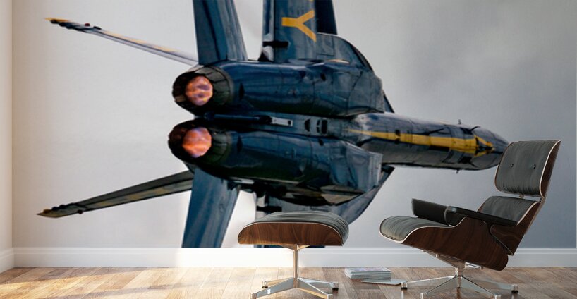 US Navy F-18 Super Hornet - Blue Angels Wall Murals