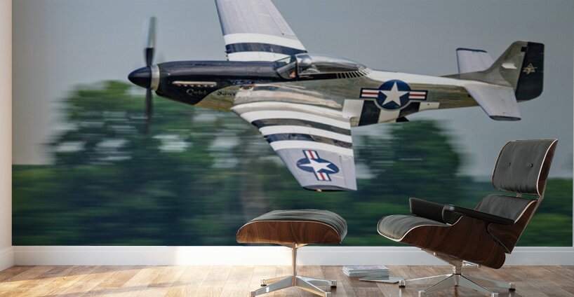 P-51D Mustang - Quicksilver Wall Murals