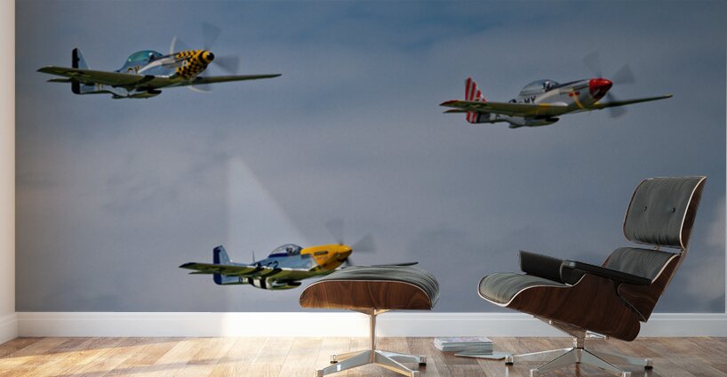 Flight Demonstration Team - Jack Aces Wall Murals