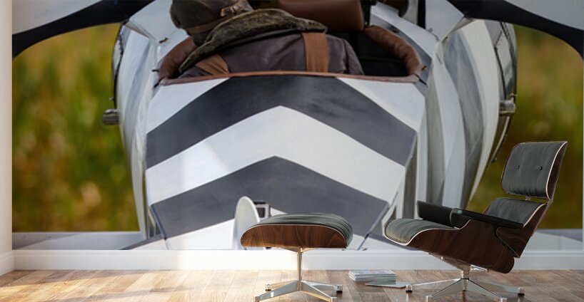 German Fokker Dr.1 Triplane Wall Murals